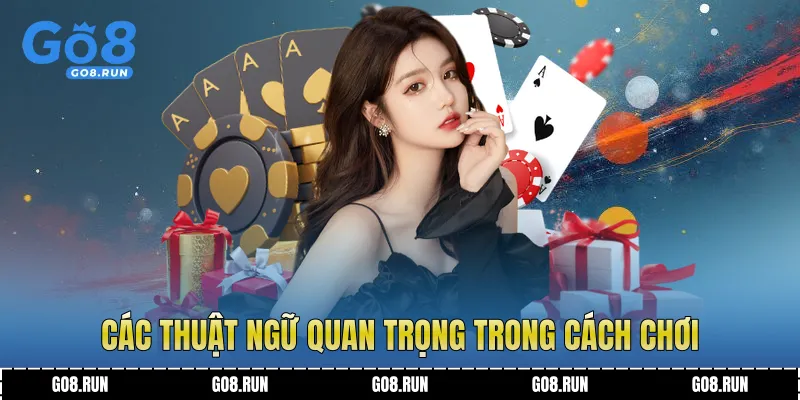 Các thuật ngữ quan trọng trong cách chơi 