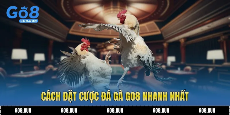 Cách đặt cược đá gà Go8 nhanh nhất