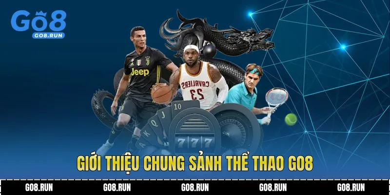 Giới thiệu chung sảnh thể thao Go8