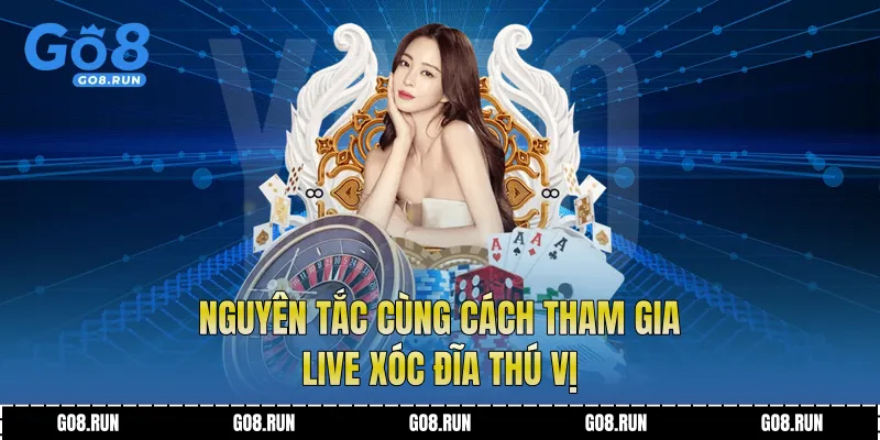 Nguyên tắc cùng cách tham gia live xóc đĩa thú vị 