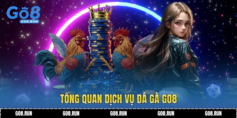 Tổng quan dịch vụ đá gà Go8